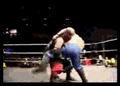 Bridging Exploder Suplex